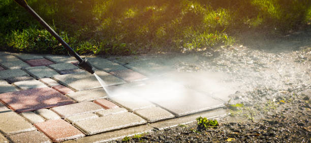 Best Gutter Cleaning  in Brownstown, PA